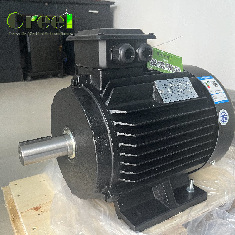 Moteur électrique à magnétisme néodymium à couple IP54 classé avec 6 pôles 750w-5Mw