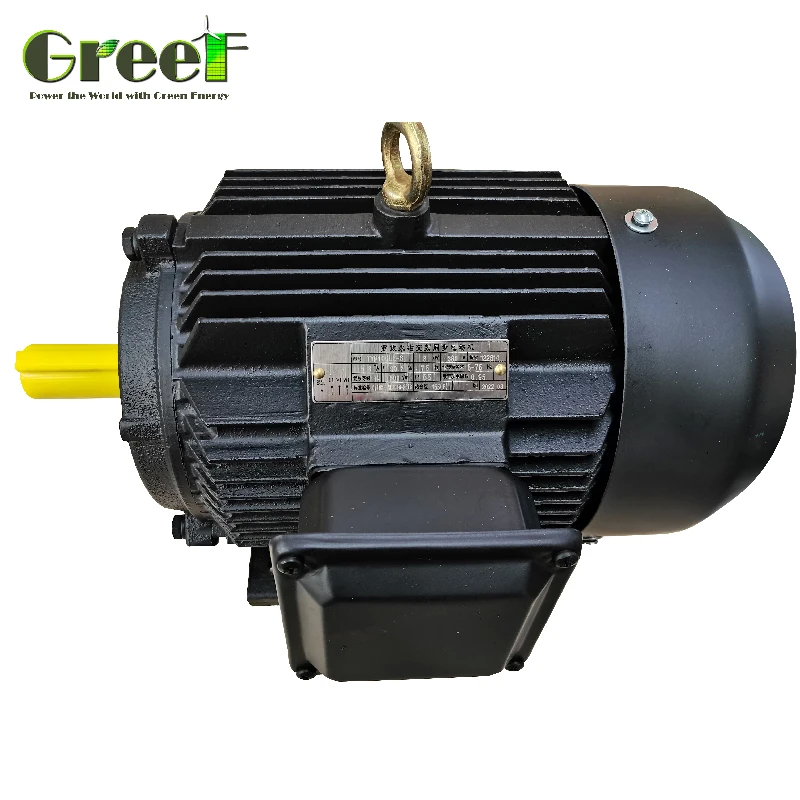 Moteur synchrone à courant alternatif à magnétisme permanent à 3 phases de 50 Hz d'une puissance nominale de 750 W à 5 MW