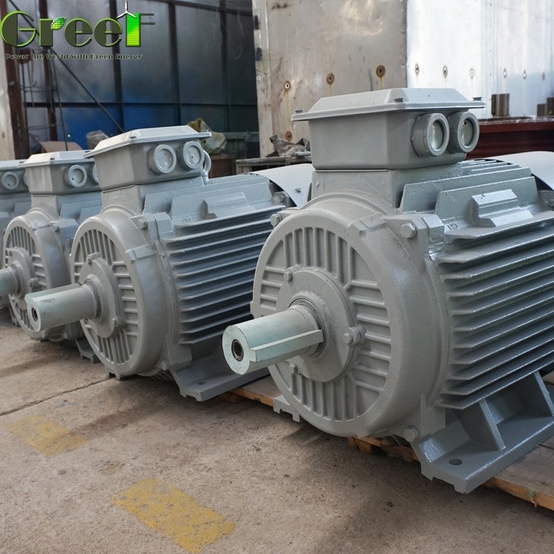 Générateur à aimant permanent de 10kW Personnalisé Tension nominale 20rpm-3000rpm Rotation nominale Usage domestique Pour éolienne Turbine hydraulique
