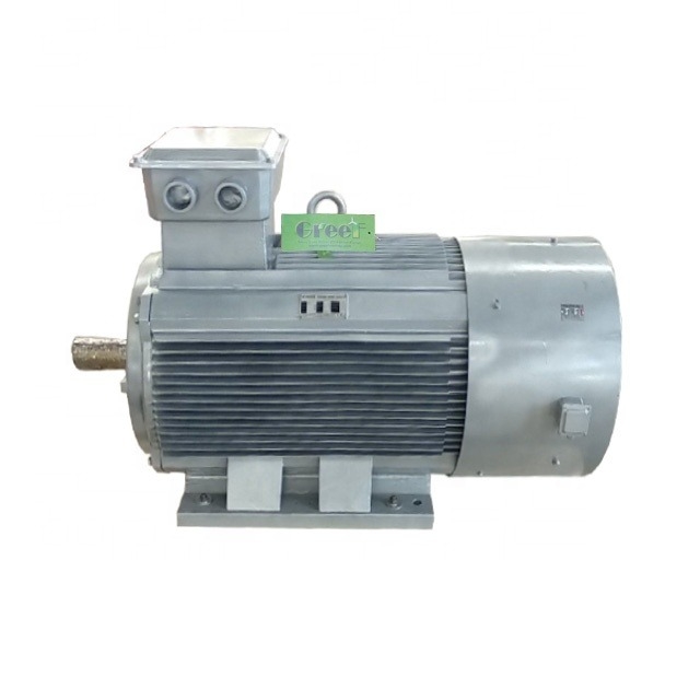 Générateur à aimant permanent de 10kW Personnalisé Tension nominale 20rpm-3000rpm Rotation nominale Usage domestique Pour éolienne Turbine hydraulique