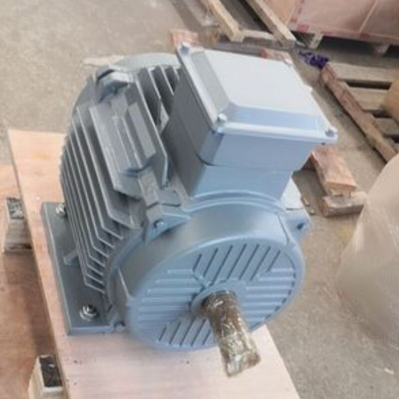 Moteur à aimant permanent sans balais 24 V-1 140 V offrant une classification de degré IP54 optimisée pour les machines d'automatisation et les solutions énergétiques
