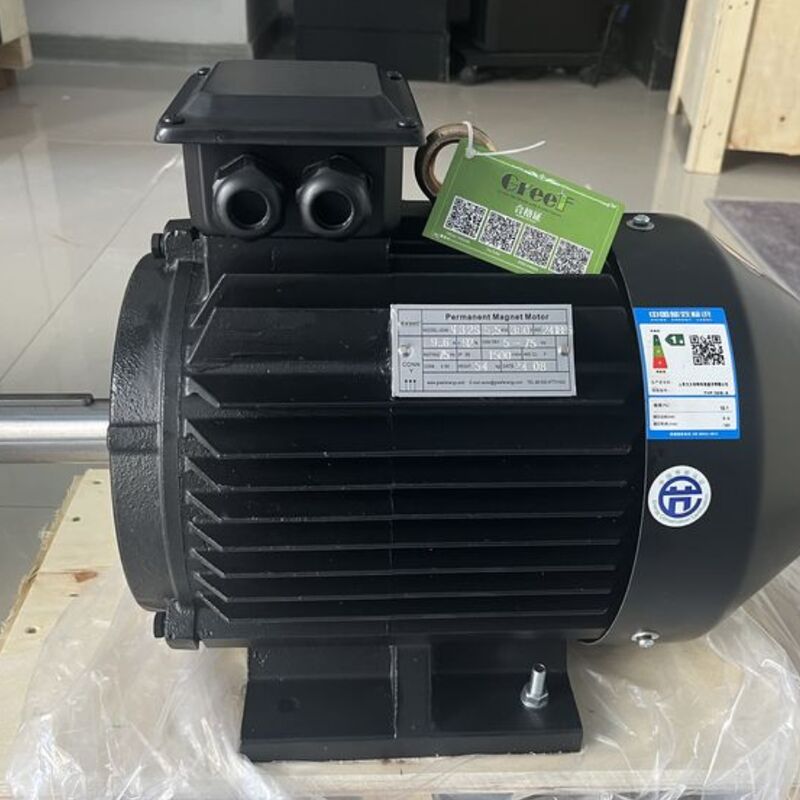 Efficacité supérieure à 95% Puissance nominale du moteur magnétique 750w 5Mw Conçue pour des performances dans la fabrication et le traitement