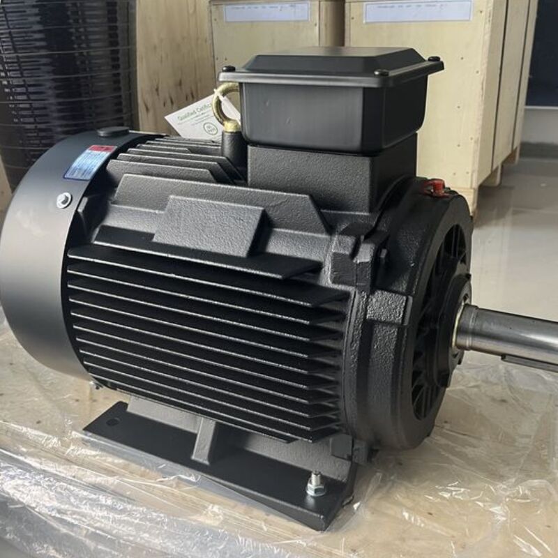 Moteur à aimant permanent à haute efficacité avec une résistance d'isolement minimale de 100 Mohm, pôles personnalisables et roulement SKF
