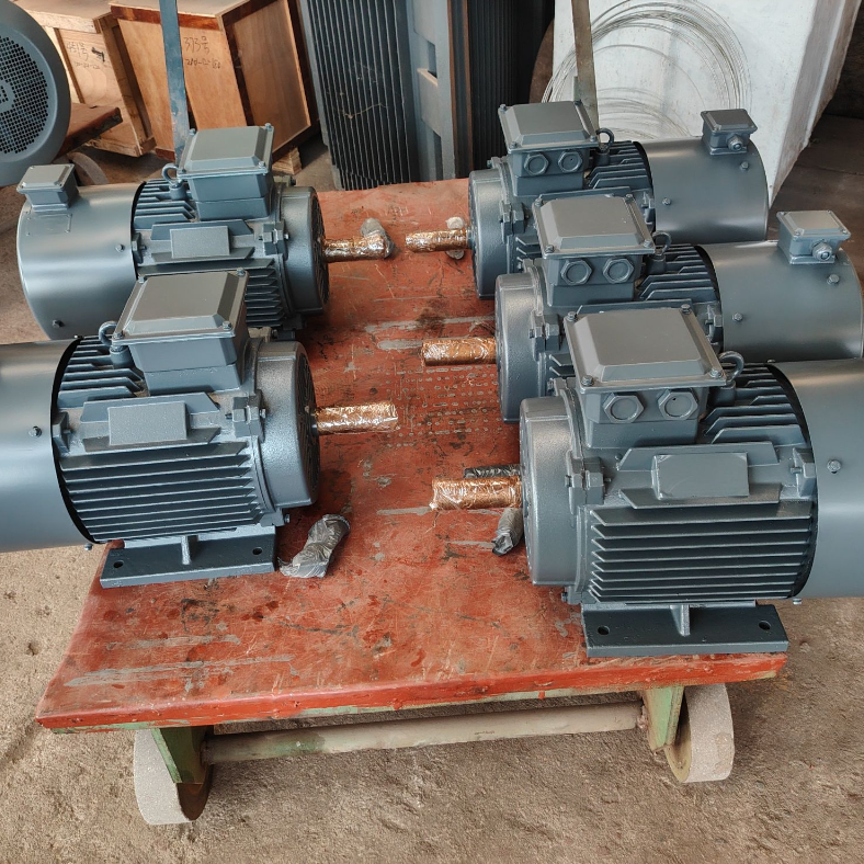 Moteur synchrone à aimants permanents à basse température avec isolation de classe F et protection IP55