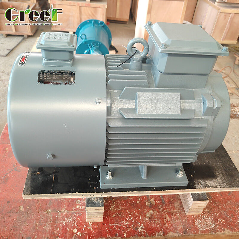 Moteur synchrone à aimant permanent sans glissement avec 1500 tr/min et 380V pour un fonctionnement à vitesse stable