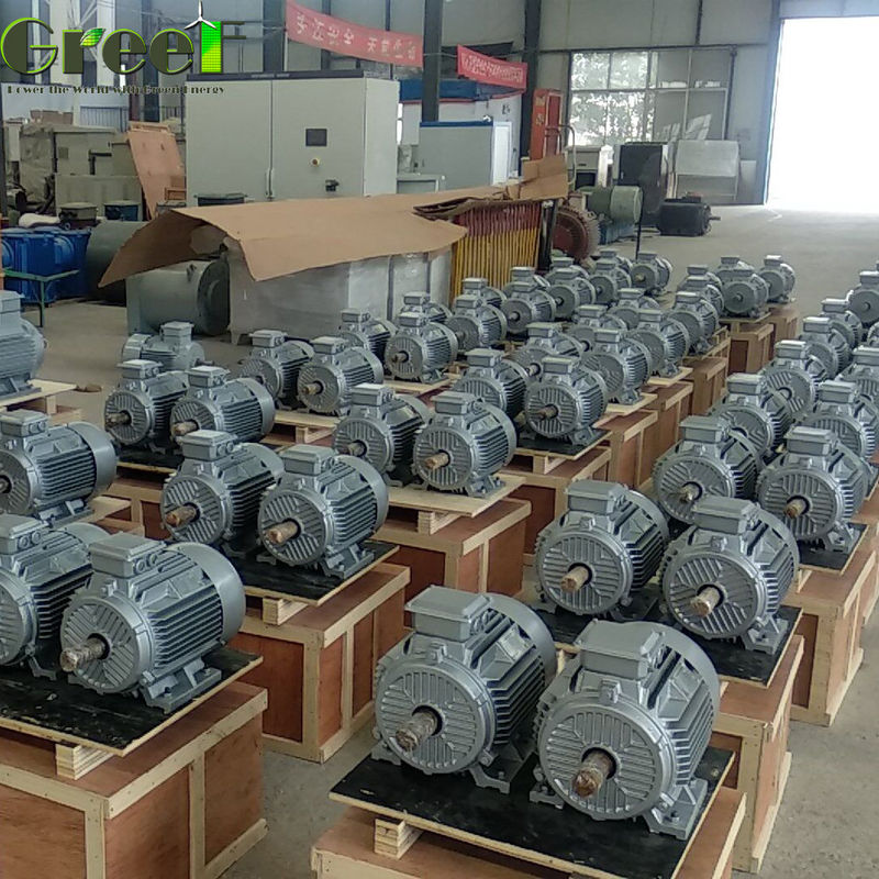 Générateur de turbine hydraulique à couple de démarrage bas 1 MW 380Vac